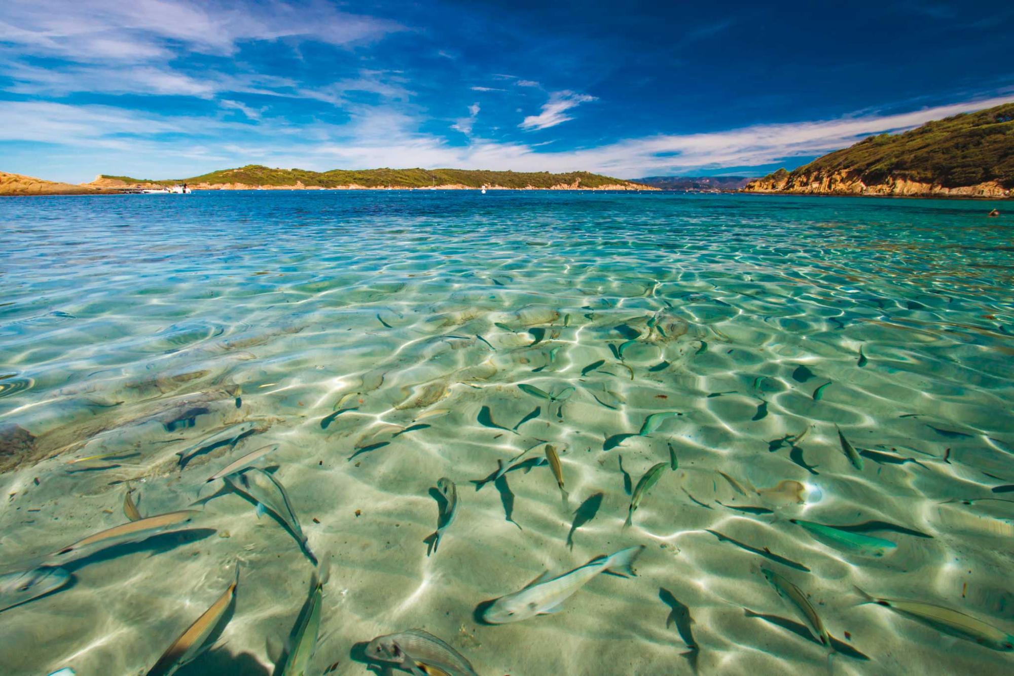 Vente bateau moteur Hyères portcros
